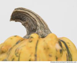 Photo Textures of Pumpkin Hokkaido